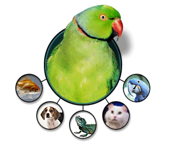 Logo of JPetStore, with a bird and different categories of animals